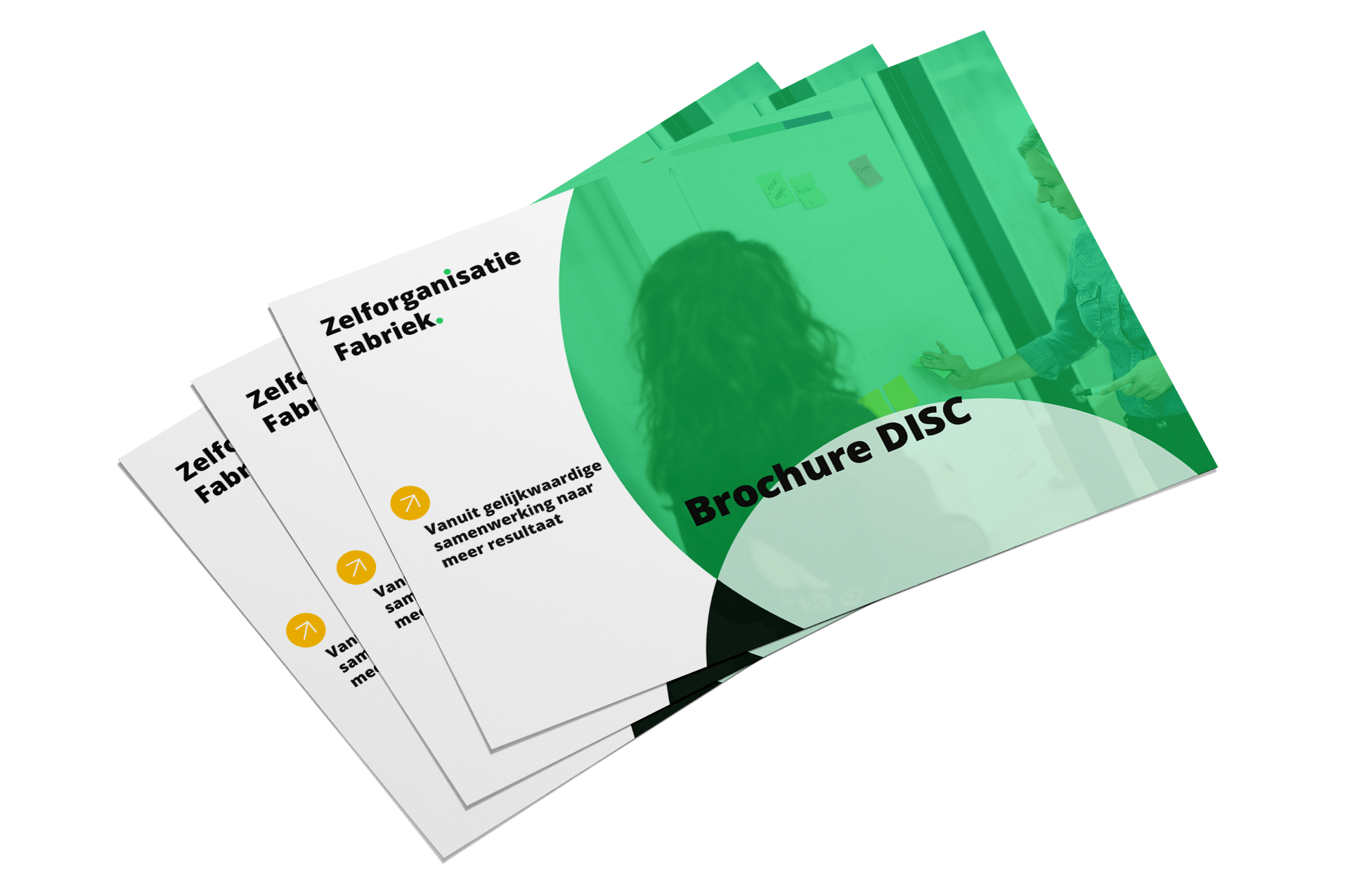 Brochure-DISC