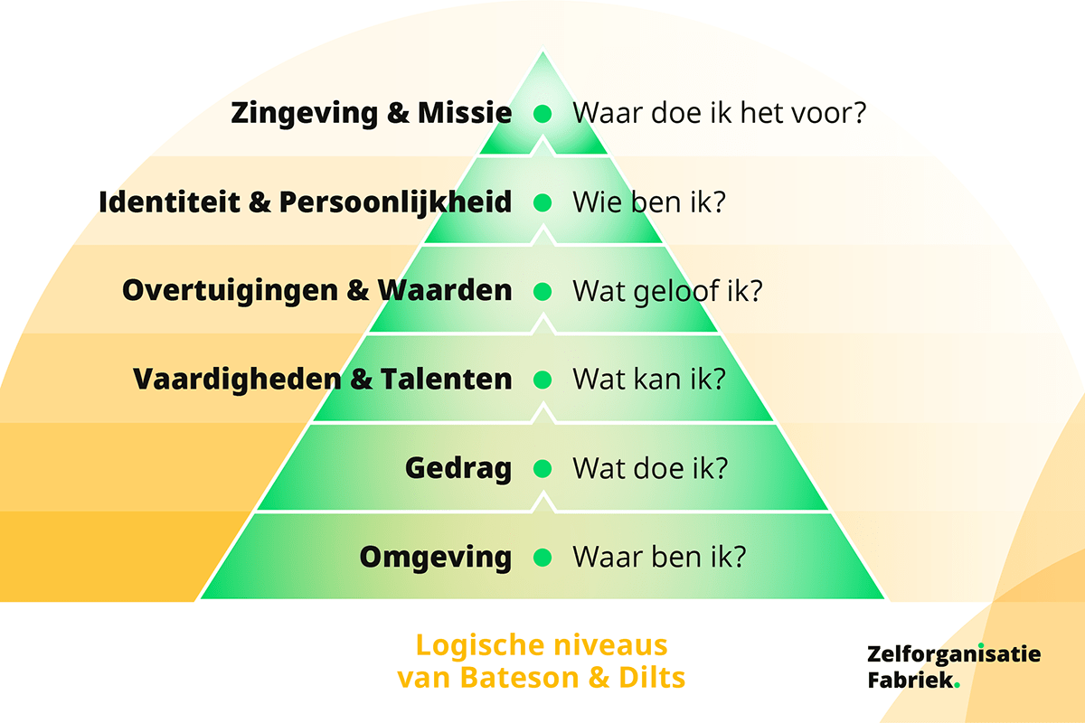 Wat wil ik in mijn werk?